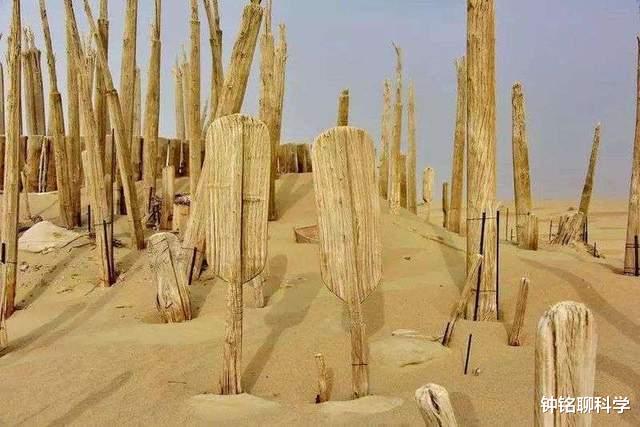 罗布泊千年古尸被破解!10000年没与外界通婚,产生生殖隔离吗?