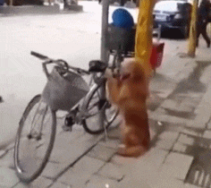 萌控孩|想问小姐姐的衣服是在哪买的，“会不会被揍一顿？”哈哈哈哈~你可以试试！