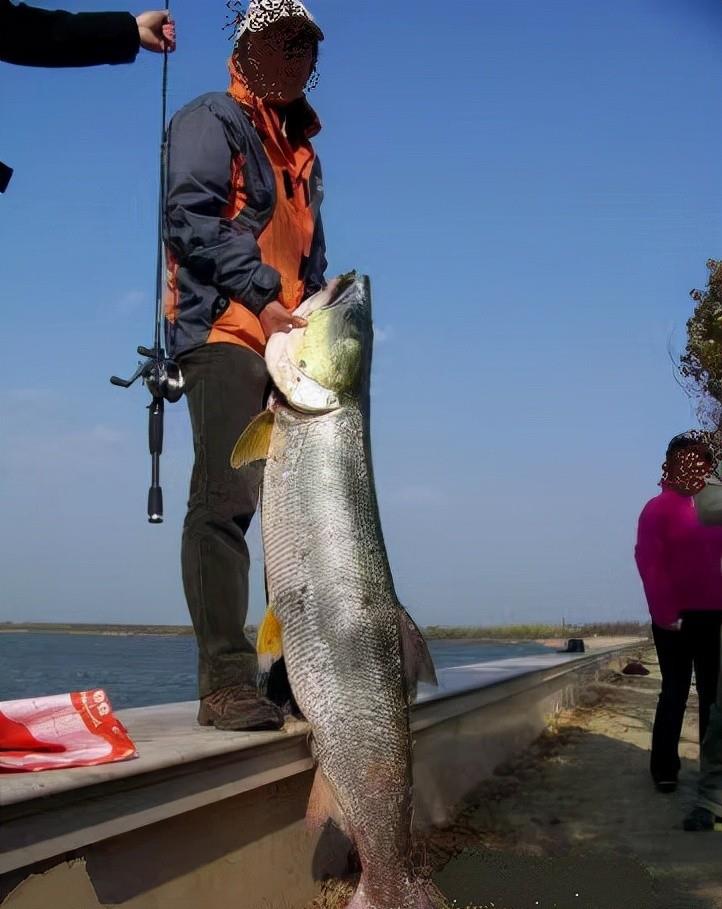大爷|70斤重水老虎被盘起！65岁的重庆大爷却惹争议，到底是对还是错？