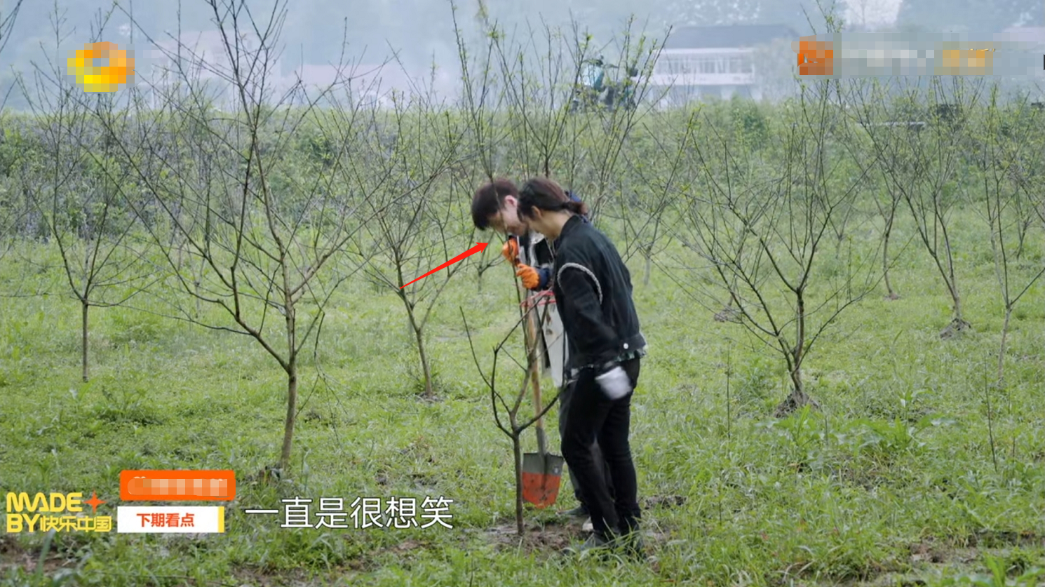 杨紫|杨紫张艺兴恋情添锤？节目中公然穿情侣睡衣同框，亲密互动不避嫌