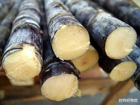 血糖|“湿气重”的女人,尽量多吃3种食物,配合一运动或助祛湿排毒