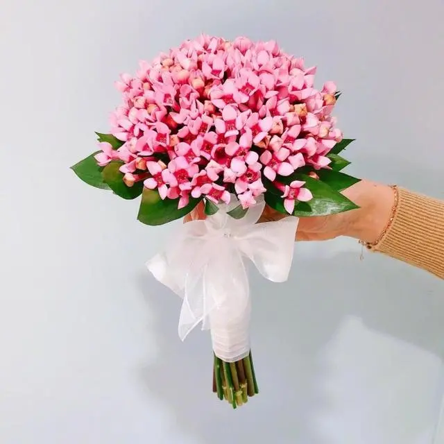情感语录生活感悟|2021喜迎教师节祝福语，祝老师们节日快乐！