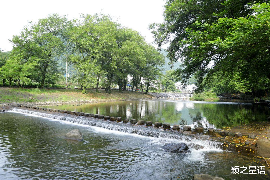 福建省 宁波规模最大的牡丹花园，居然深藏了五年，为啥不欢迎观赏