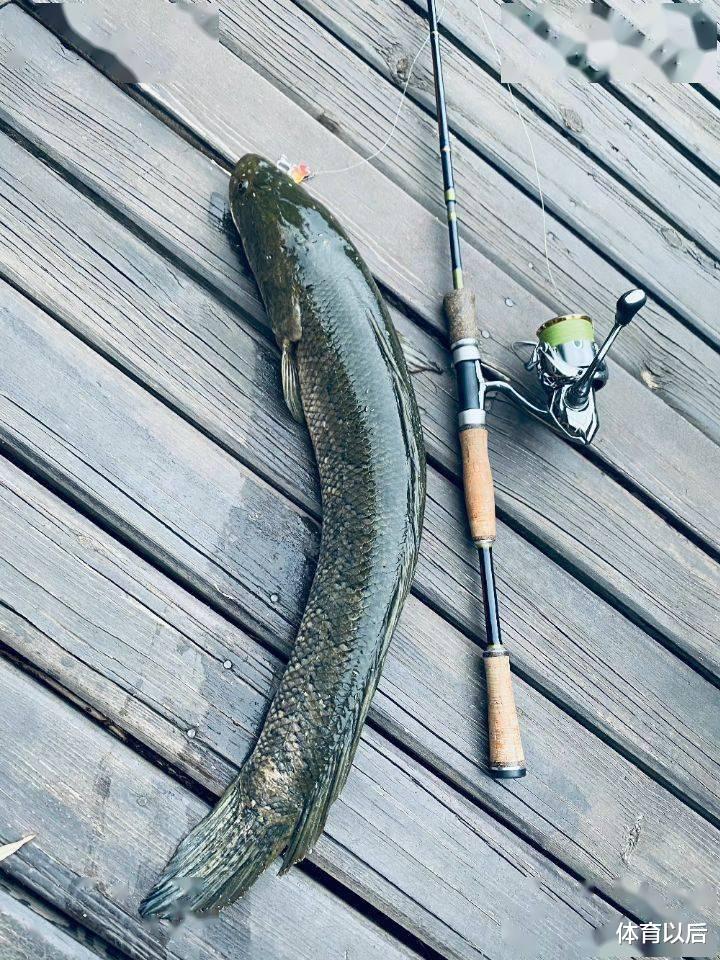 佛系|张亮晒照为儿子庆生，14岁天天直逼180变大男孩，与爸爸越发相似