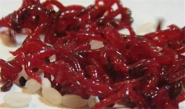 |不打窝，诱鱼聚鱼都很快，这两种钓法，冬天野钓效果会更好