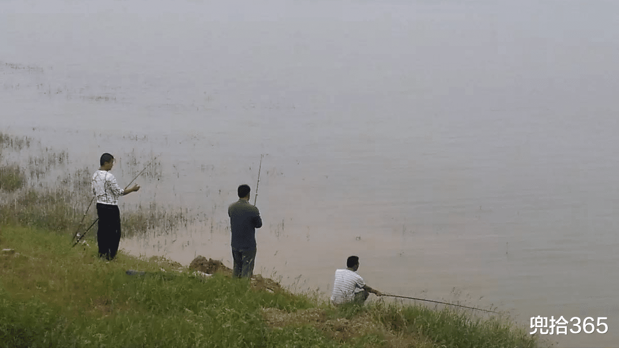 清江|广西一男子洛清江里钓“怪鱼”,不敢吃也不敢放,专家:随便支配