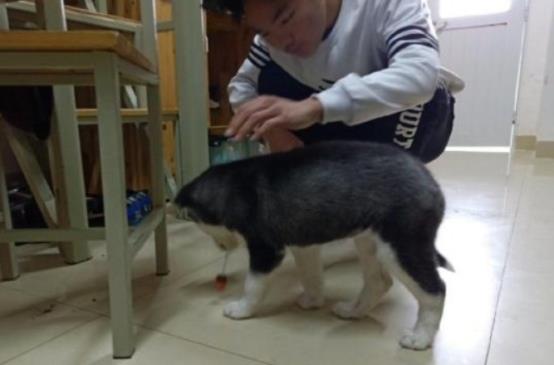 一更育儿|大学宿舍常见的“违禁品”,第一个很危险,第三个宿管老师也喜欢