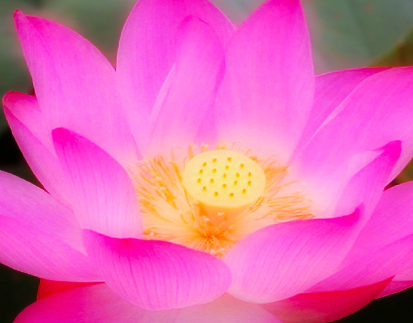 星临天下|7月15日开始，4属相运势上涨，财源广进，开启美好生活