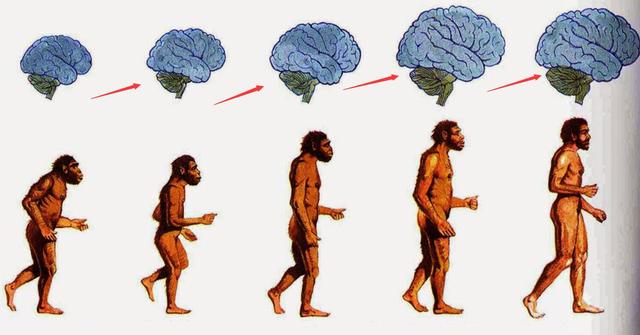 连猩猩都打不过，人类这么弱，人类祖先是怎么活下来的？