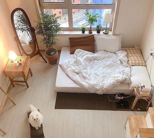 日本小姐姐的精致独居生活：一个人住，也要让自己的小窝温馨起来