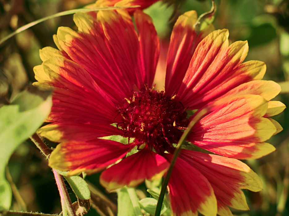 生肖夜读|7月底，爱情回头，不再纠缠，放下执念，3生肖旧情回暖，相爱到底