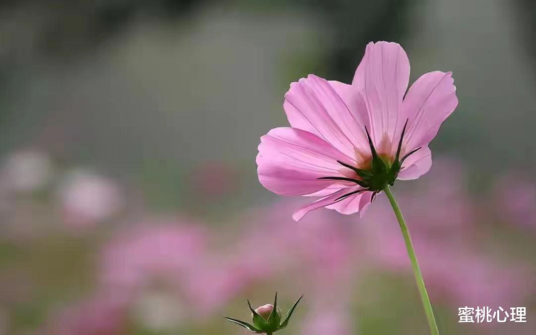 蜜桃心理|人到中年，夫妻感情再好，也不能有这4种\＂作死\＂行为