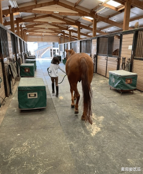 |吴彦祖女儿近照曝光？骑马英姿飒爽，一双大眼睛呆萌可爱