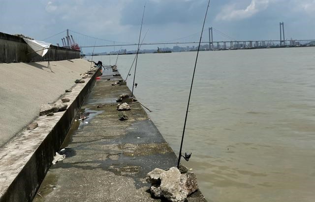 长江|重庆南岸区销毁违规渔具,大量鱼竿被锤子砸、火烧,网友:心疼