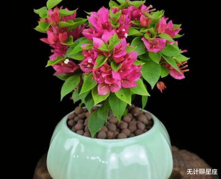 |恪尽职守、不可或缺的4个星座,无可挑剔、人生赢家,令人羡慕