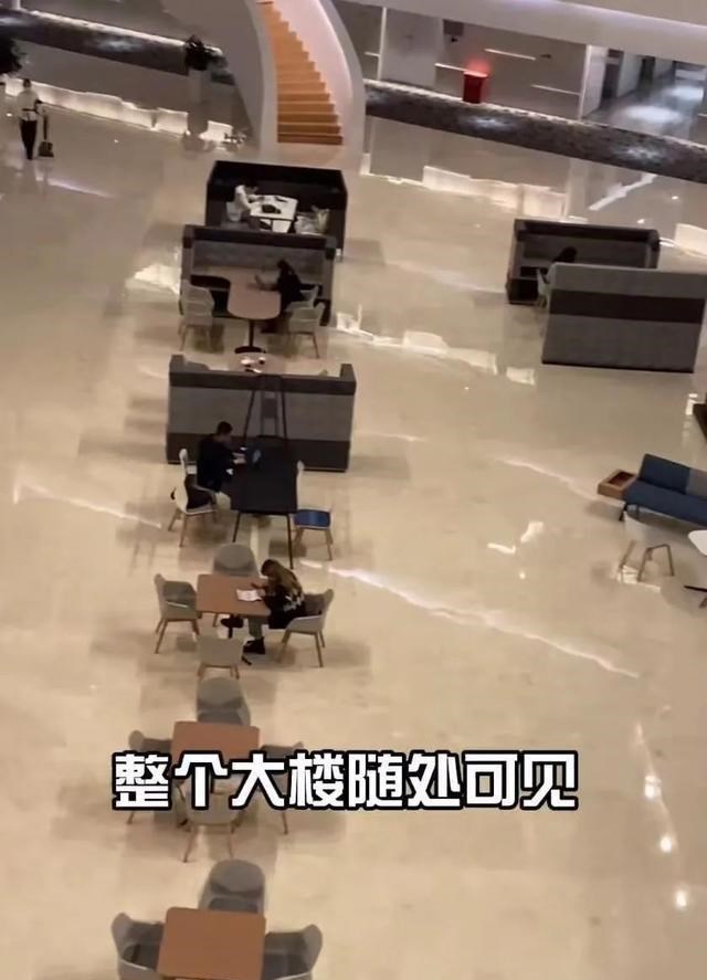 丁剑剑|腾讯员工食堂私照流出,撕开残酷真相:你越强,享受的待遇越好