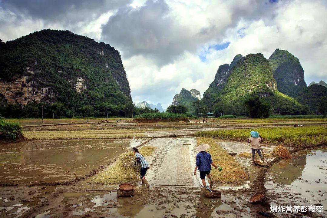 爆炸营养彭鑫蕊|每天早起可以“救命”，长期早睡早起，你会收获这4种喜人的变化