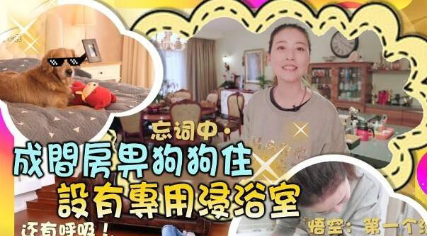 |周海媚晒出自己现实的生活，豪宅面积超大，家里宠物能睡大床房