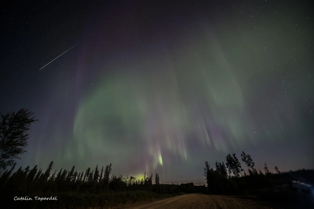 猛犸象 闪耀在世界各地的英仙座流星雨!