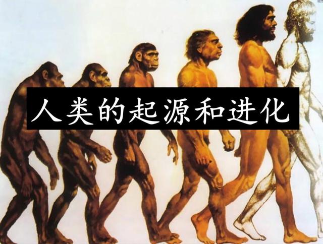 人类从哪里来?基因科学揭秘人类起源背后的真相