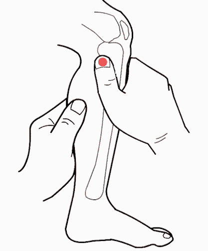 穴位|阴陵泉：健脾祛湿第一穴