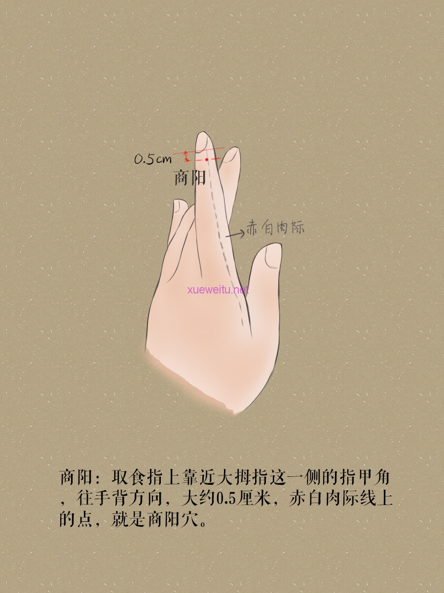 鹿鞭|身體火氣大？先別著急吃藥，試試這幾個天然瀉火穴！