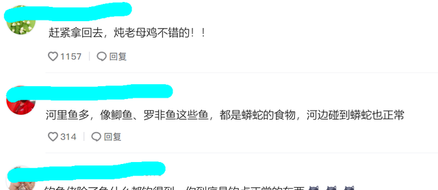 宓孤林|广东男子夜钓，竟在河边捞起大蟒蛇，男子：手电一照就不动了