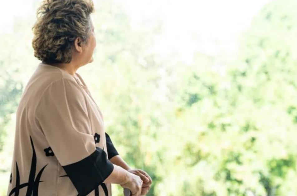 戈兰·德拉季奇 孙子随女方姓，婆婆不满，把家产全都给了小儿子