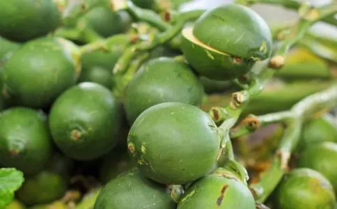 这6种蔬菜,或比“槟榔”还伤身,尽快列入黑名单