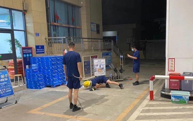 奶豆说育儿|为何见蛇不能打？菜花蛇潜伏养殖场偷吃十多只鸡，王锦蛇有多厉害