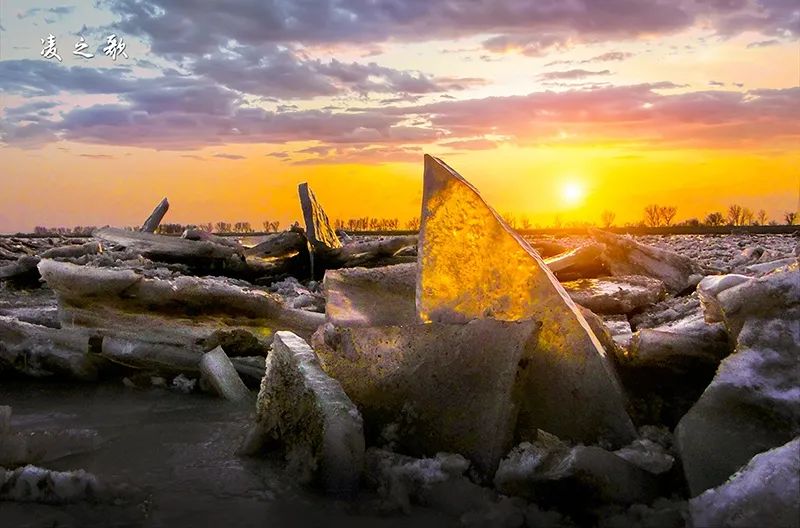 活力内蒙古 磴口即将上演“冰河乍裂”自然大片