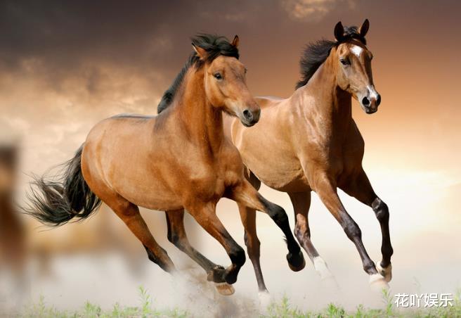 生肖|天不怕地不怕的3大生肖，有冒险精神，事业能闯出名堂