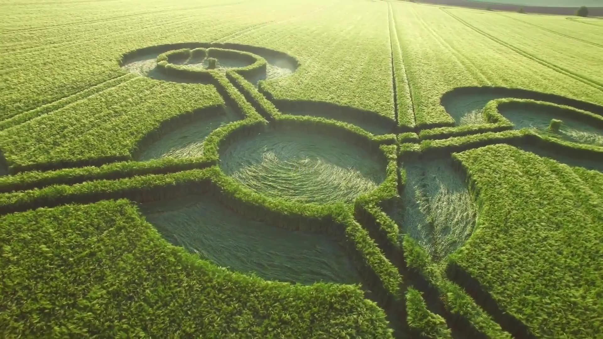 央视|这本书你一定听过,甚至央视都被他骗了,他就是《XXX》