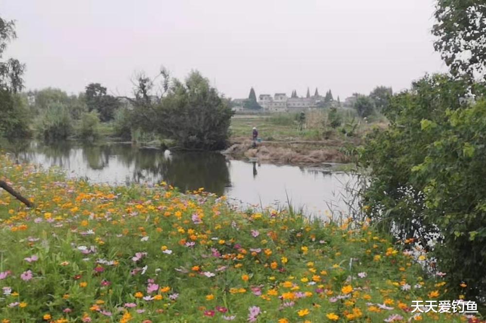 |当年出门5里就钓鱼，今朝百里无处可去，现在钓鱼怎么这么难呢？