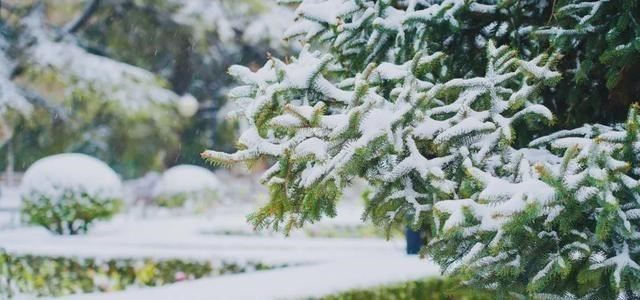 清华大学|愿以三分初雪，勾勒百景清华（多图）