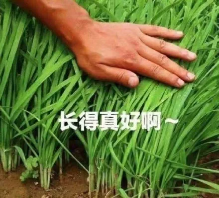 王者荣耀|电竞选手rookie开店，先被骂后澄清