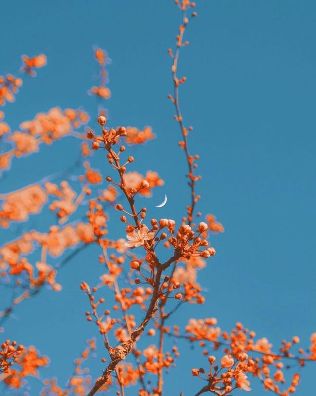  朋友圈鼓励自己的句子，你喜欢吗？