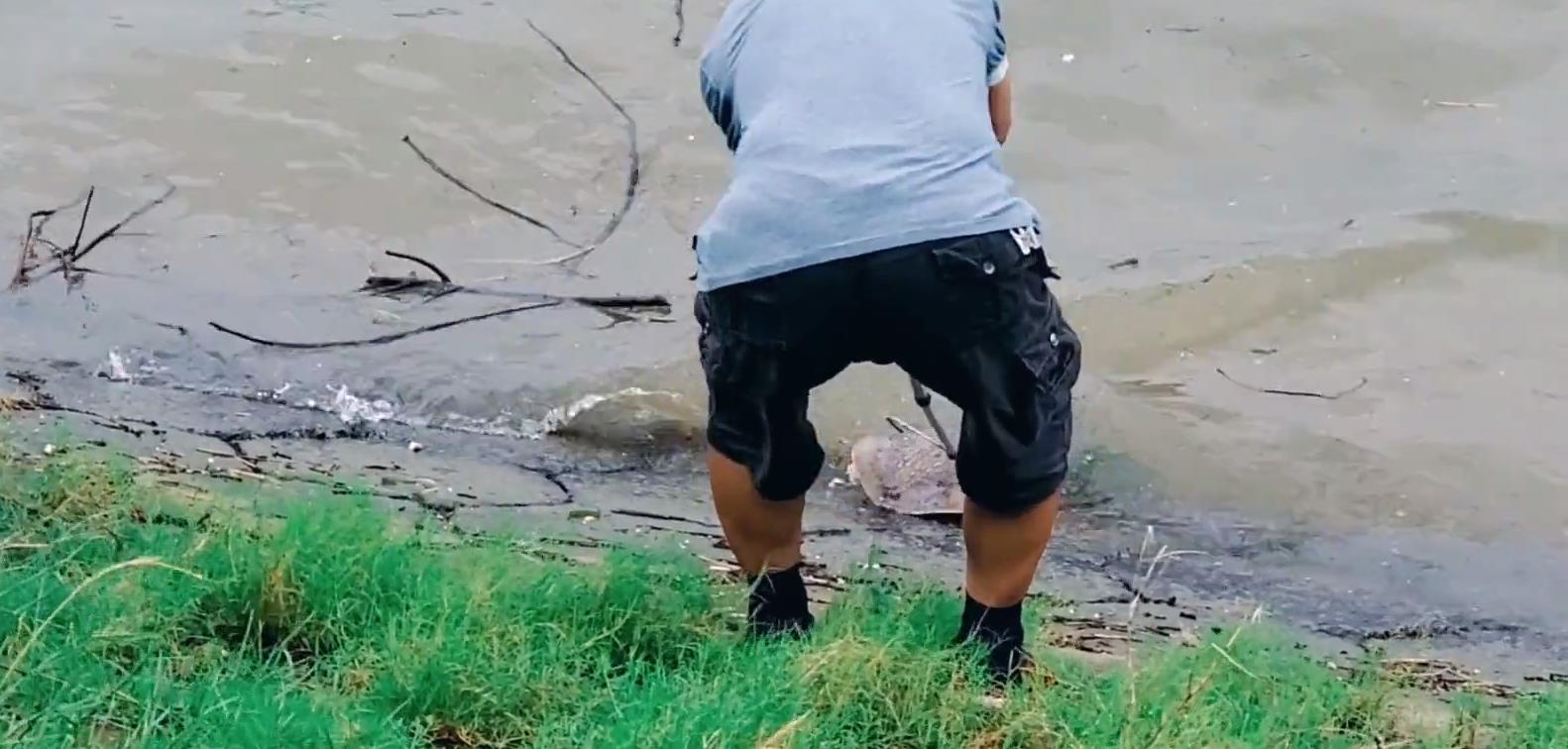 运势 湘江“老鳖”浮头换气，瞬间被岸边男子甲鱼枪打中，路人想500买