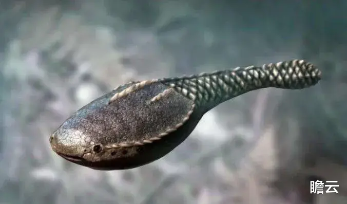 长达40亿年的生命历程,人类是如何一步步进化来的?(人类进化极简史)