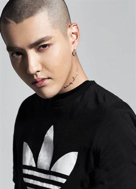 吴亦凡|吴亦凡想跑路才被抓，进监狱前曾咨询包机事宜，临走前被警察带走