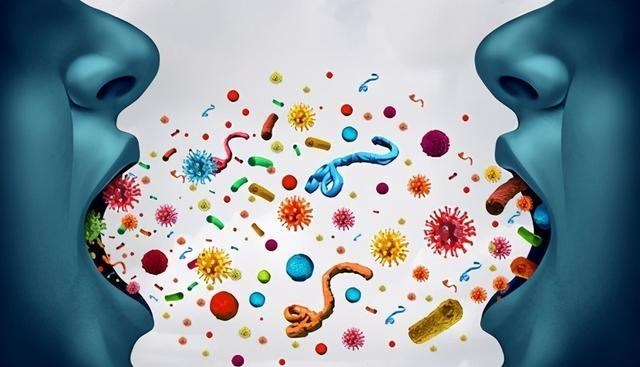 蚊子 蚊子在地球上究竟有什么用？如果全部灭绝，会有什么严重后果？