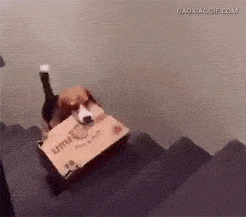 萌萌萌说|“我老婆很像范冰冰，你们是不是嫉妒了？”评论区精彩了！哈哈哈