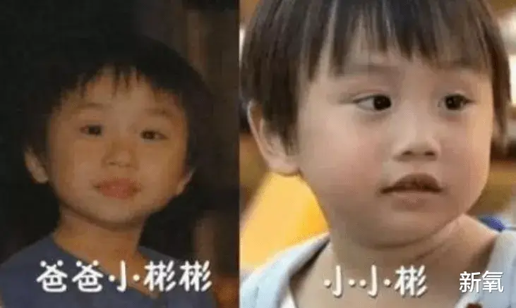 孙俪|3岁就被逼996，沦为亲生父母赚钱工具，这顶流童星不当也罢？