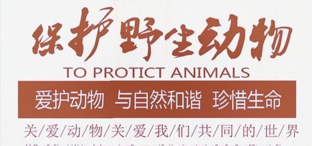 立冬|广西一男子野钓罕见收获“怪鱼”，请渔政帮忙鉴别，最后连夜放生