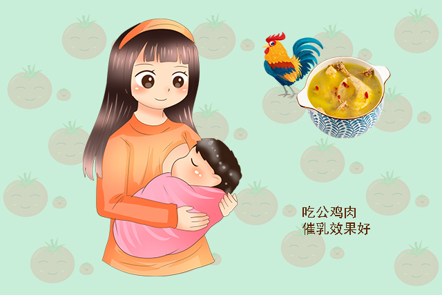 西红柿妈妈|坐月子是吃公鸡好还是母鸡好？两者差距很明显，产妇们别吃错了