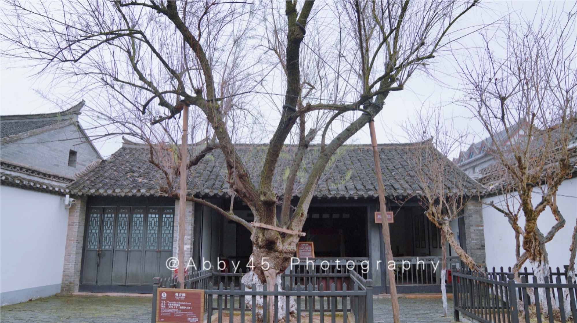 不旅不婷 2021淮安国际马拉松开跑,18公里处设计经过的地方,是周恩来故居