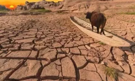 快船队|抢七！！泰伦卢开大了！这真的是终极杀招