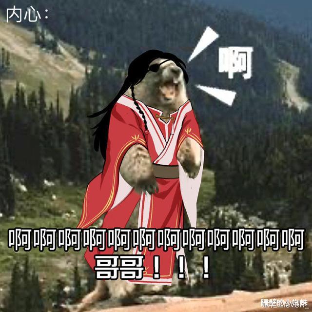 翻译|天官英配版来袭，粉丝拒绝译成“broter”，网友：声优开口就想笑