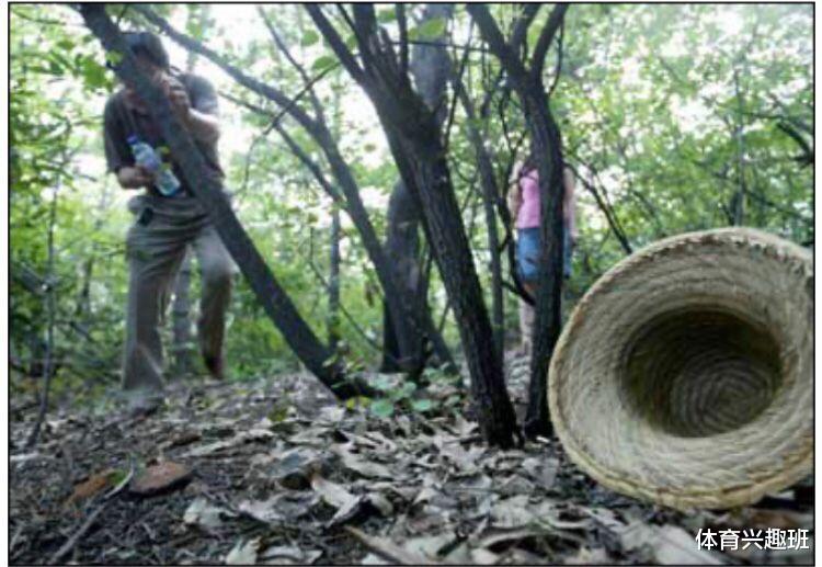 体育兴趣班 未解悬案——2004年“北京八大处双尸案”