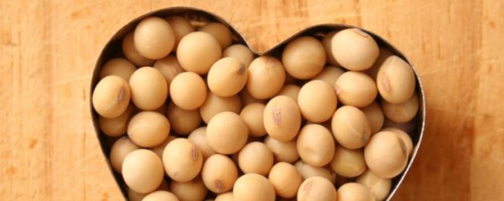 阴天后阳光|秋季老人如何饮食养生